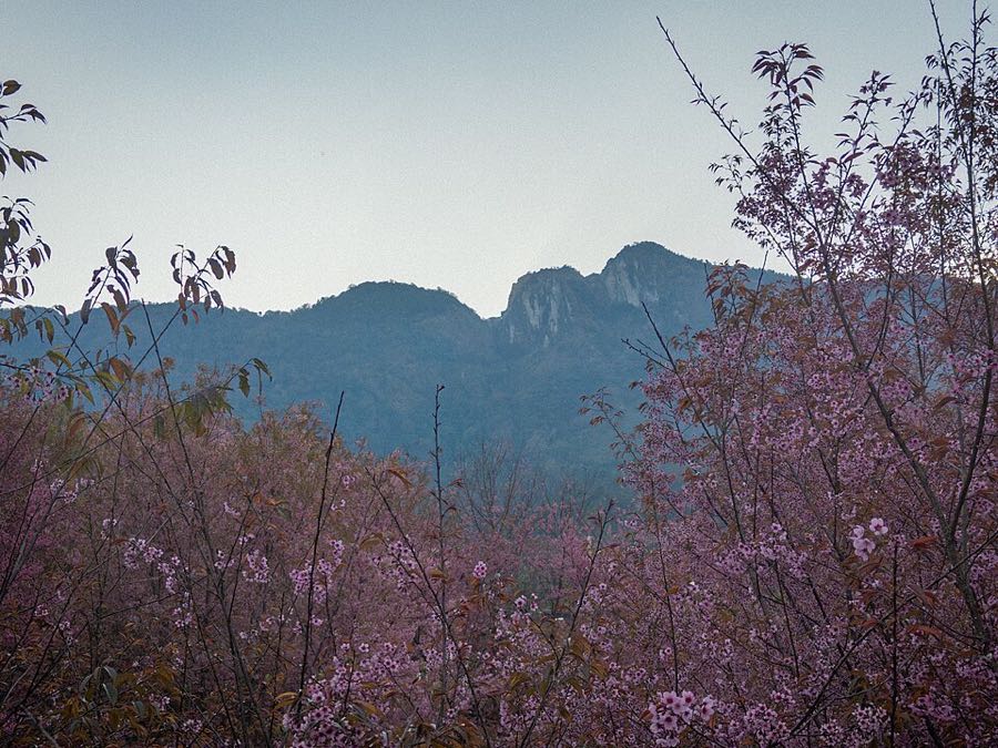 Mountains at Doi Inthanon, Chiang Mai province, Thailand